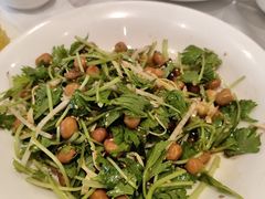 糖醋拌芹菜-凯鸽酒楼(操场城店)