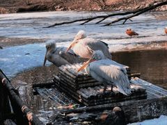 -济南野生动物世界