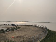 -白渔泡湿地公园