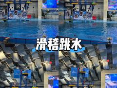 -合肥海洋世界