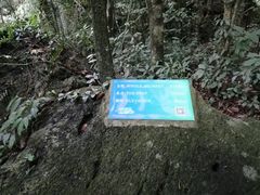 -七仙岭温泉国家森林公园