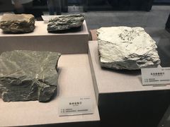 -湖南省地质博物馆