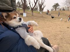 -小意思咖啡店(草桥店)