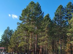 -北极村旅游风景区