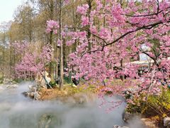 -东湖磨山景区