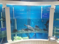 水产区-福泉海码头(六里山店)