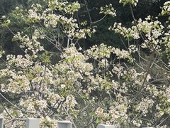-福道