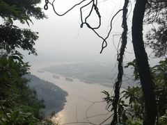 -铁山坪森林公园