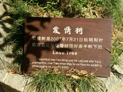-太湖源风景区
