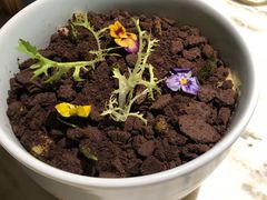 会长大的沙拉-绿茶餐厅(昌平悦荟店)