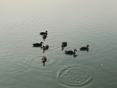 -晓港公园
