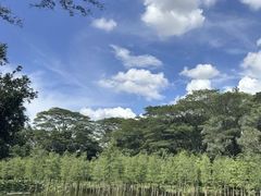 -番禺大夫山森林公园