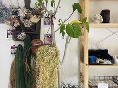 -AHAVA·Fang Baking Studio