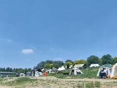 -绿堤公园