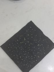-皇族养心堂·净痘·修敏·御颜