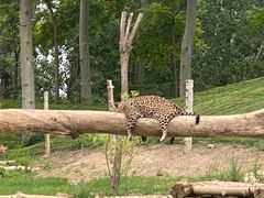 -北京野生动物园