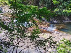 -广州白江湖森林公园