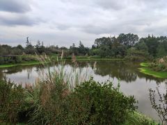 -桤木河湿地公园