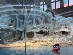 -帝企鹅自助餐厅•儿童岛•真企鹅(长隆企鹅酒店)