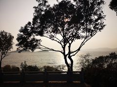 -上海市保健医疗中心(华东疗养院)