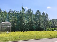 -沈阳植物园