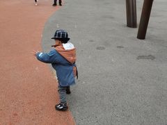 -枫香湖儿童公园