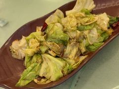 -邵年鸽(杨庄店)