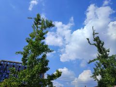 -国际非物质文化遗产博览园