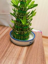 点击看大图 -Dr.林醫生产后修复·超级店(南京江宁同曦店)