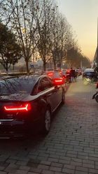-蚂蚁婚车