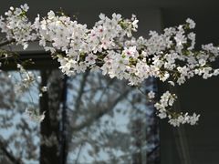 -静安雕塑公园