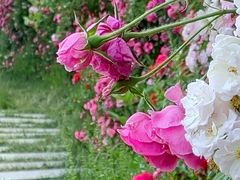 -太阳宫公园