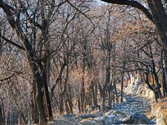 -阳台山自然风景区