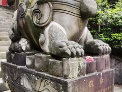 -铁山坪森林公园