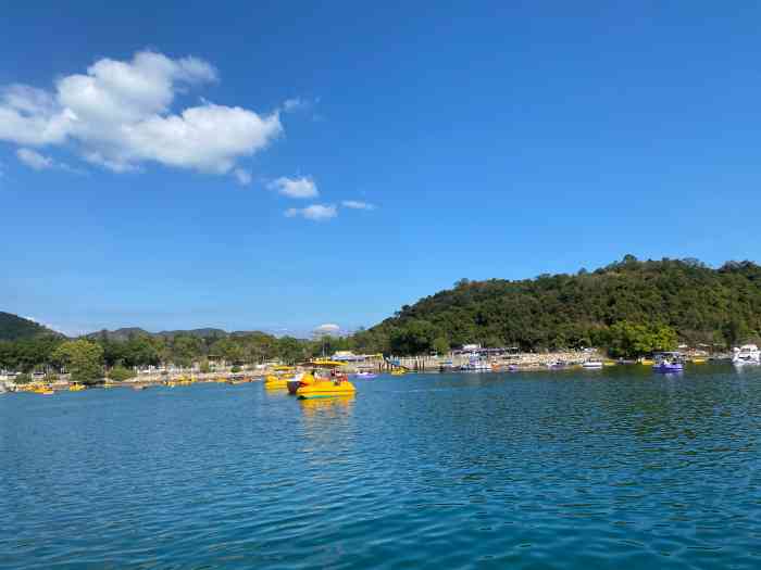 大美督-"大尾笃,因为它的粤语发音,有好几种字的写."-大众点评移动版