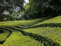 -敬亭山风景名胜区
