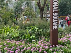 -奈雪的茶(中粮祥云小镇店)