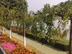 -羊山湖公园