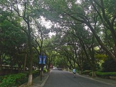 -浙江大学(玉泉校区)