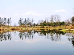 -桤木河湿地公园