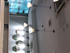 -九玺炉旋转小火锅(柠溪路店)