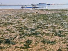 -在海一方公园