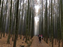 -山王坪喀斯特国家生态公园