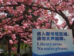 -西安交通大学(雁塔校区)