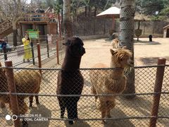 -大连森林动物园