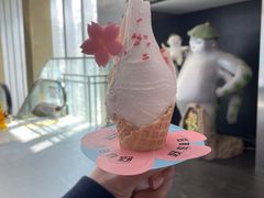 -野人先生现做冰淇淋(北京顺义祥云小镇店)