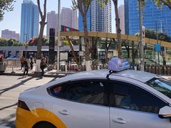 -奥体中心(地铁站)