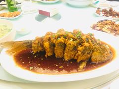-金春禧(世茂国际广场店)