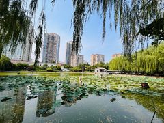 -团结湖公园