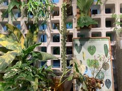 -自由生长植物工作室(深港花卉中心店)